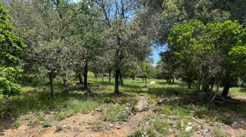 Barcelona - Sant Fost de Campsentelles - 1557m2