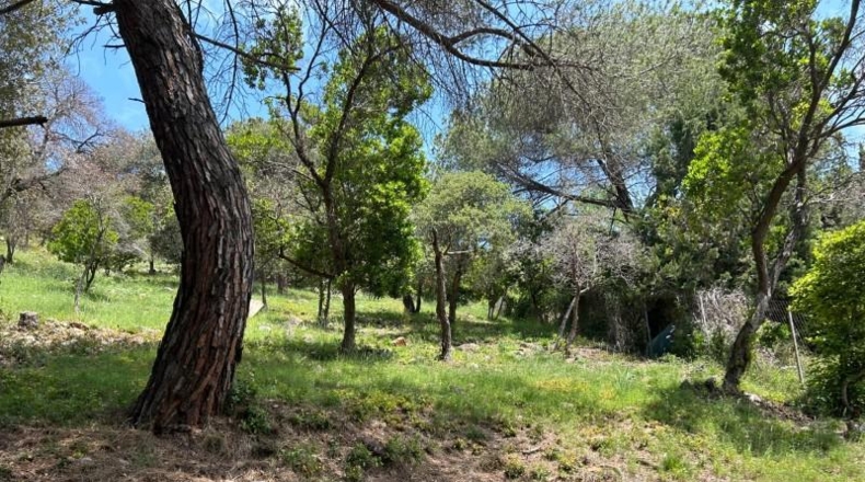 Barcelona - Sant Fost de Campsentelles - 1557m2