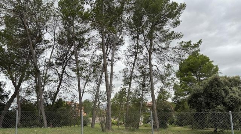 Barcelona - Sant Fruitós de Bages - 901m2