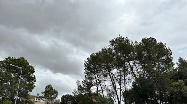 Barcelona - Sant Fruitós de Bages - 901m2