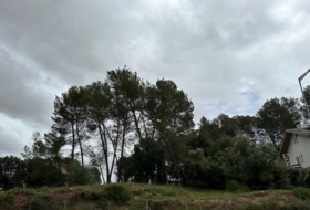 Foto 13