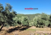 Xalet independent amb terreny en venda a la España, Pozoblanco, ref.: TR159351 foto