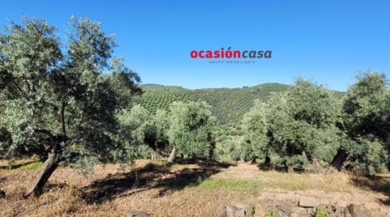 Córdoba - Pozoblanco - 137000m2