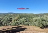 Xalet independent amb terreny en venda a la España, Pozoblanco, ref.: TR159351 foto