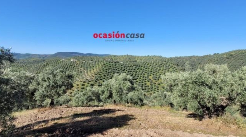 Córdoba - Pozoblanco - 137000m2