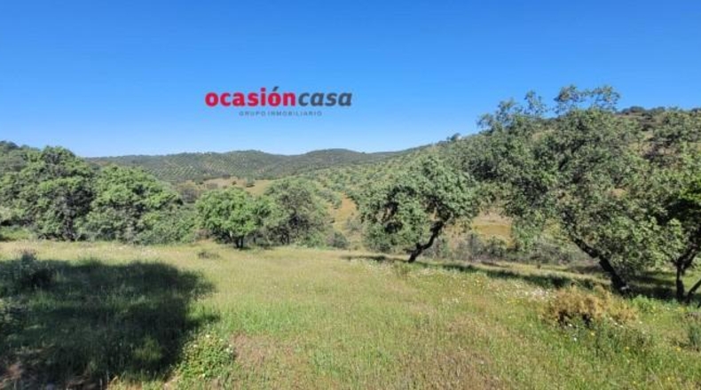 Córdoba - Pozoblanco - 137000m2