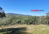 Xalet independent amb terreny en venda a la España, Pozoblanco, ref.: TR159351 foto
