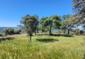 Xalet independent amb terreny en venda a la España, Pozoblanco, ref.: TR159351 foto