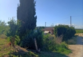 Участок с постройкой на продажу в городе Vilanova de Segrià Фото