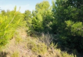 Suelo urbano en venta en la España, Borriol, ref: TR167296 foto