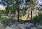 Suelo urbano en venta en la España, Borriol, ref: TR167296 foto