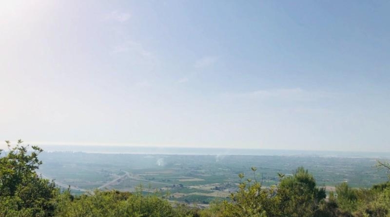 Castellón - Borriol - 1600m2