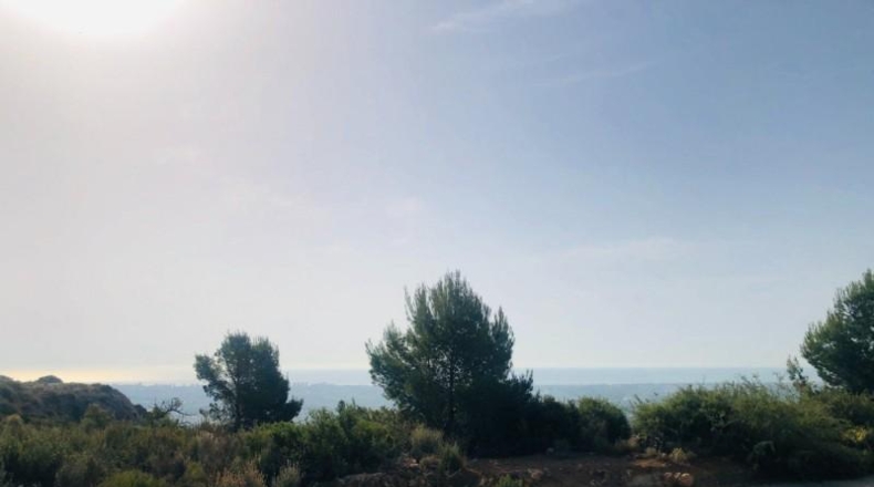 Castellón - Borriol - 1600m2