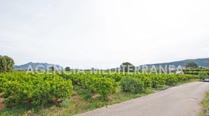 Alicante - Orba - 11000m2