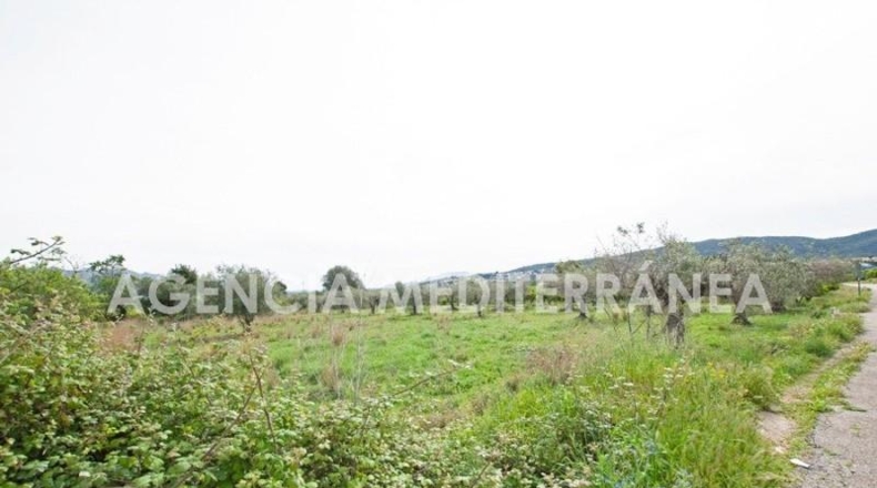 Alicante - Orba - 11000m2