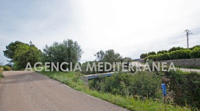 Alicante - Orba - 11000m2