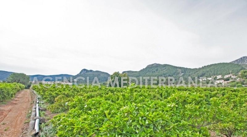 Alicante - Orba - 11000m2