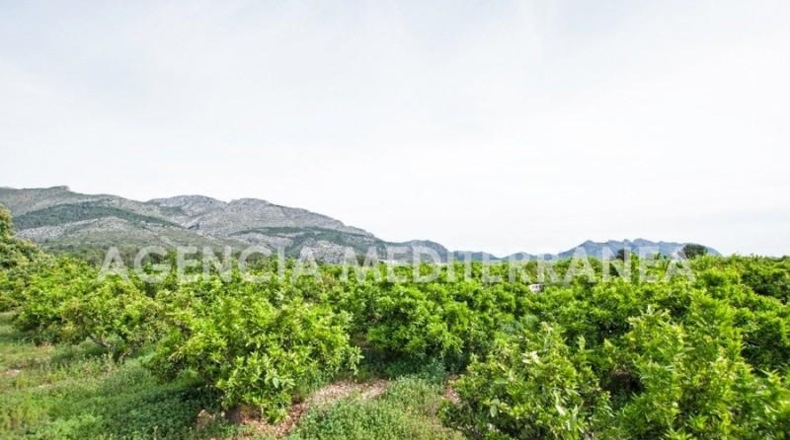 Alicante - Orba - 11000m2