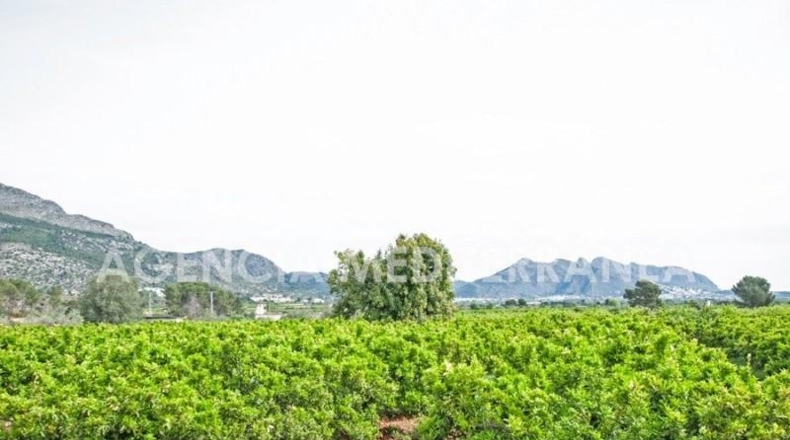 Alicante - Orba - 11000m2