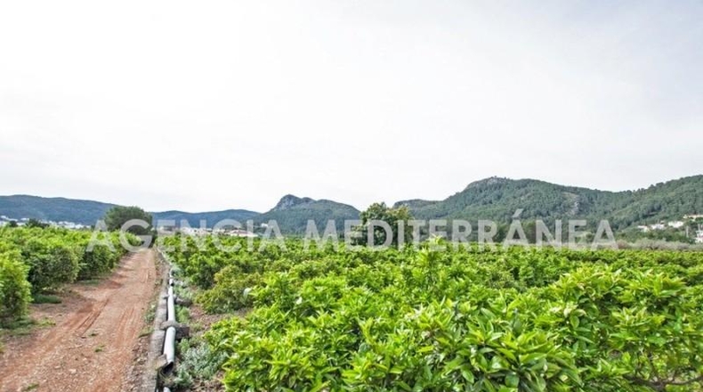 Alicante - Orba - 11000m2