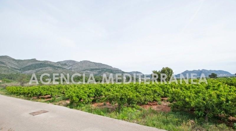 Alicante - Orba - 11000m2