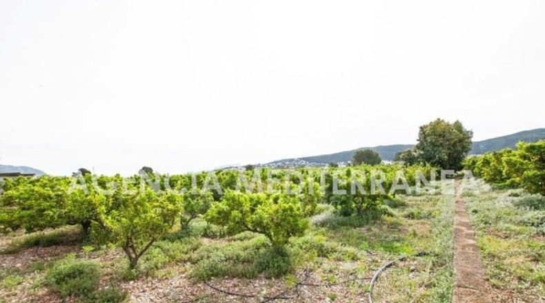 Alicante - Orba - 11000m2