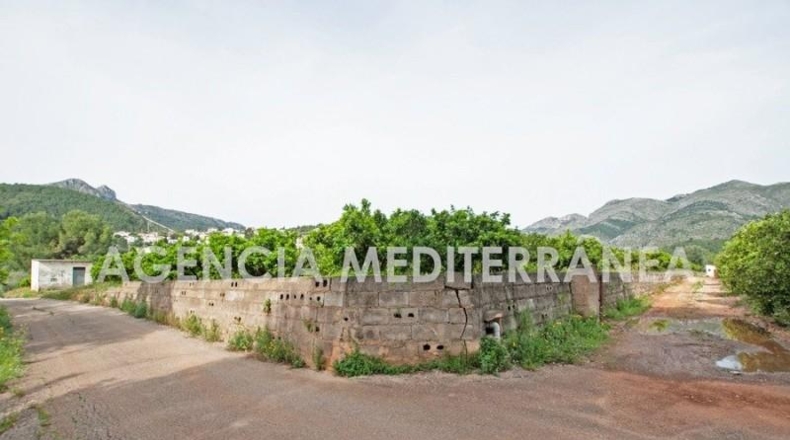 Alicante - Orba - 11000m2