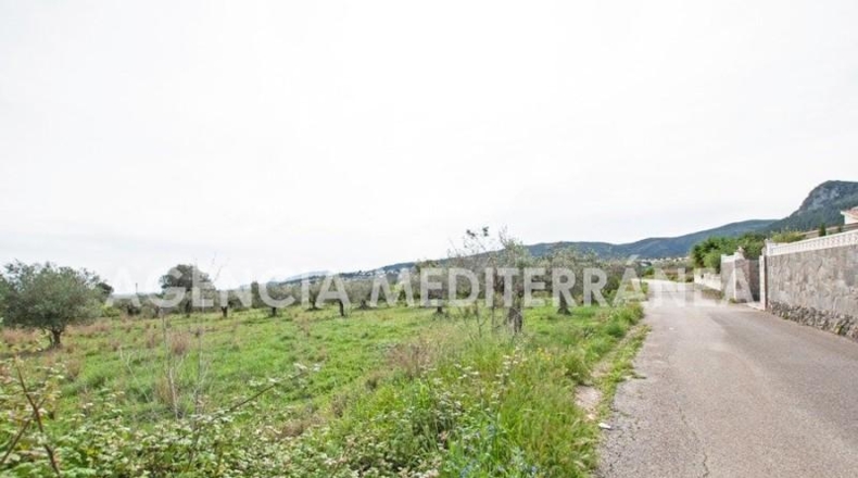 Alicante - Orba - 11000m2