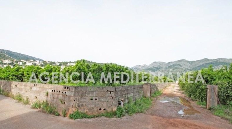 Alicante - Orba - 11000m2