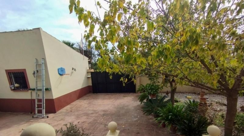 Córdoba - Córdoba - 1000m2