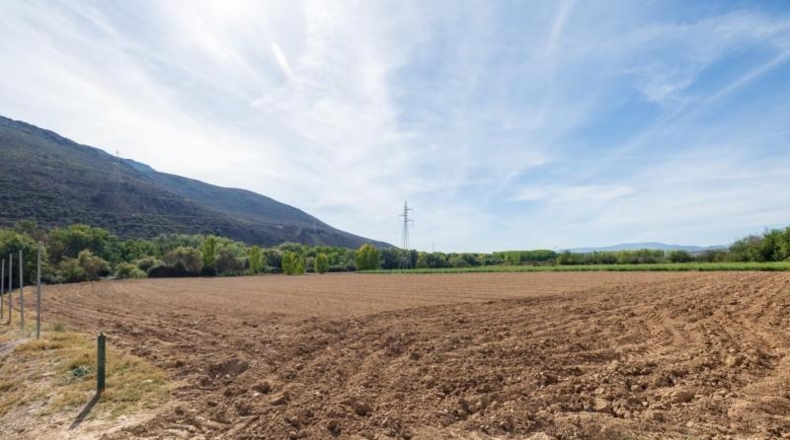 Granada - Albolote - 16613m2