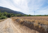 Non-developable land for sale on España, Albolote, ref: TR125996 photo