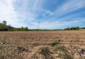 Non-developable land for sale on España, Albolote, ref: TR125996 photo