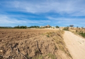 Non-developable land for sale on España, Albolote, ref: TR125996 photo