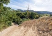 Non-developable land for sale on España, Albolote, ref: TR125996 photo