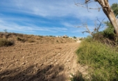 Non-developable land for sale on España, Albolote, ref: TR125996 photo