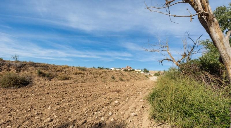 Granada - Albolote - 16613m2