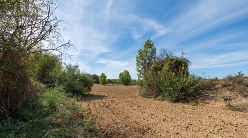 Granada - Albolote - 16613m2