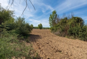 Foto 14