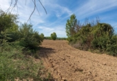 Non-developable land for sale on España, Albolote, ref: TR125996 photo