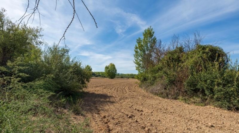 Granada - Albolote - 16613m2