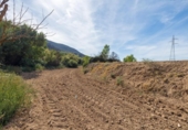 Non-developable land for sale on España, Albolote, ref: TR125996 photo