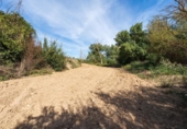 Non-developable land for sale on España, Albolote, ref: TR125996 photo