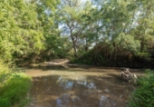 Non-developable land for sale on España, Albolote, ref: TR125996 photo