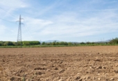 Non-developable land for sale on España, Albolote, ref: TR125996 photo