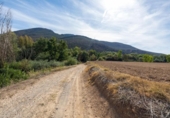 Non-developable land for sale on España, Albolote, ref: TR125996 photo