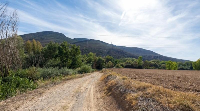 Granada - Albolote - 16613m2