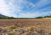Non-developable land for sale on España, Albolote, ref: TR125996 photo