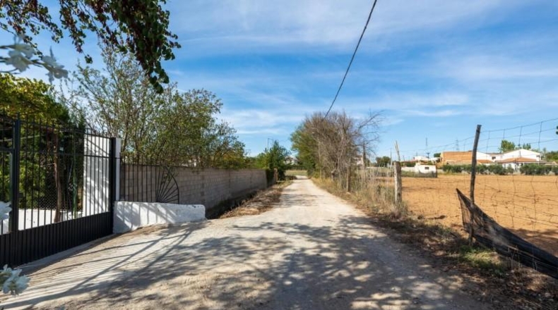 Granada - Albolote - 16613m2
