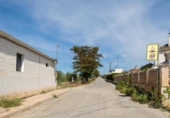 Non-developable land for sale on España, Albolote, ref: TR125996 photo
